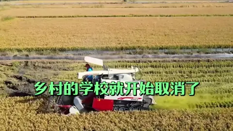 柴米油盐，才是真相 #柴米油盐#理性消费#降低消费