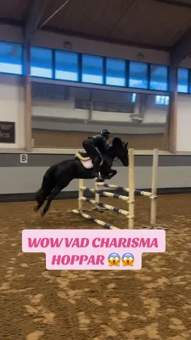 WOW VAD DEM HOPPAR 😱🌟idag red @Milia Pike Charisma för första gången 👏🏻 så kul att se vilken ponny vi verkligen köpt 🥰 Följ Milia och hennes magiskt fina ponnys 🌟 #horse #horses #pony #rider #showjumping 