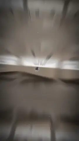 #quàtặng1911,#quà ,#xuhuongtiktok ,#quàtặng,#quàtặng1911  quà tặng 19/11 các nàng có thể tham khảo cho các bạn trai trong lớp nhé😍