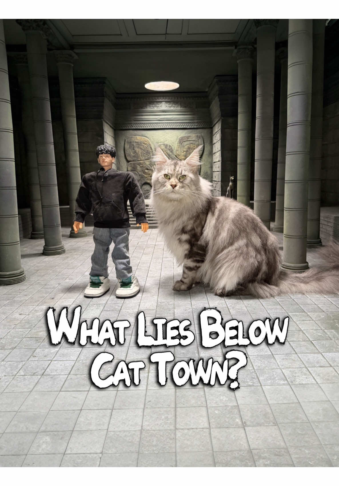 Two new locations in Cat Town! #catsubway #catsoftiktok #xingsworld #xingzhilei #cutecat #可愛い 