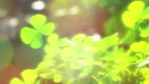 Wherever life plants you, bloom with grace. Source: Pexel, Pixabay, Canva  Edit: fallingslowli  #nostalgia #chillvibes #peace #flowers #nature 