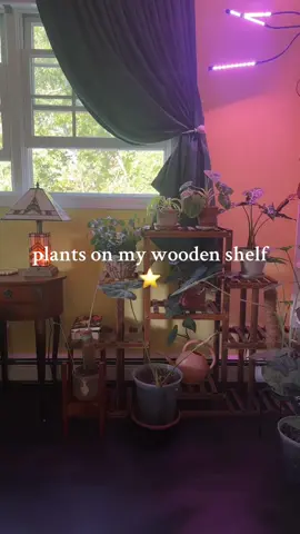 #plants #planttiktok 
