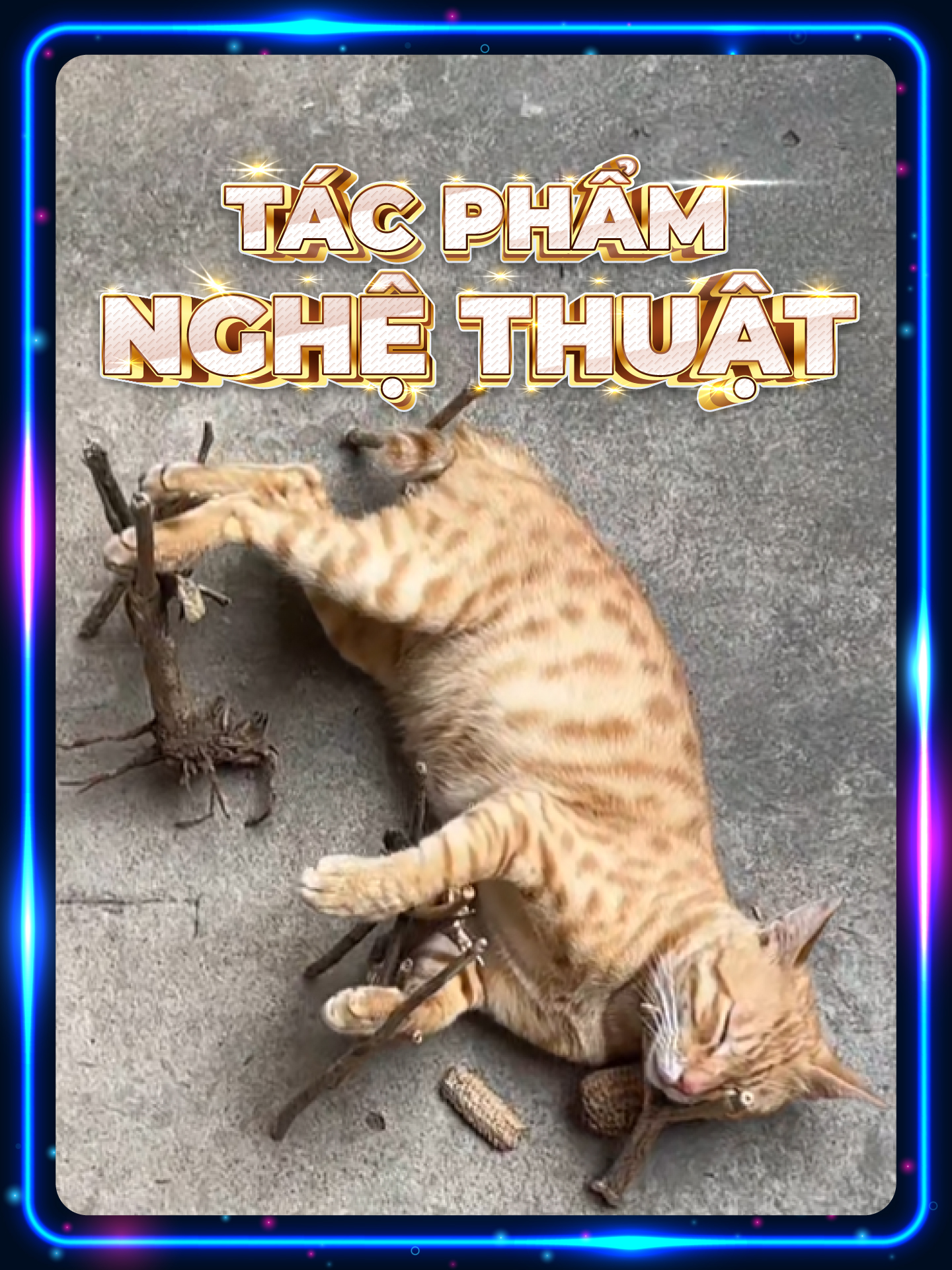 Sự thật về giấc ngủ của tụi mồn lèo #funnycat #facts #xh #funnyanimals #pet