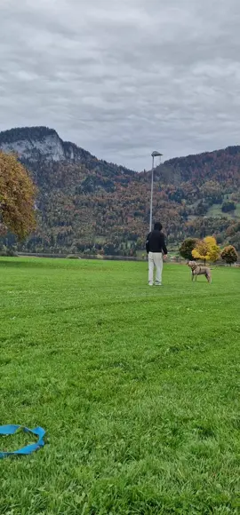 اخبرو سبيستون اننا صرنا شبابا بدون مستقبل🥺 . .       .  .  ... .  #❤️ #fouryou #dogs #maroc #الشعب_الصيني_ماله_حل😂😂 