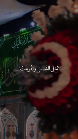 ولادة العقيلة الكبرى زينب الحوراء🧡🥹#صعدو_الفيديو #اكسبلورexplore #اكسبلور؟ #ياعلي_مولا_عَلَيہِ_السّلام #فاطمة_الزهراء 