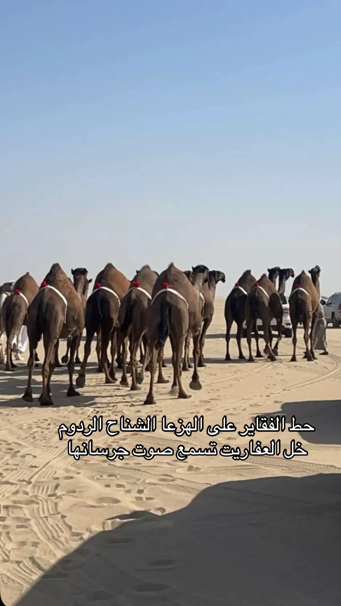 #اكسبلور #عشوائيات #البل 