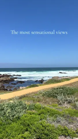 Take me back to Asilomar  #visitcalifornia #pacificgrove #monterey #pacificocean #californiacoast 