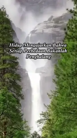 PERBEDAAN BUKANLAH PENGHALANG #katakatamotivasi #nasehathidup #quotes #katakata #asepmaura 