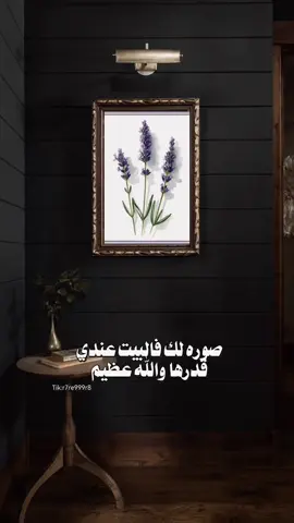 #جديد #شيلات #نادر_الشراري @نادر الشراري #اكسبلور #اكسبلورexplore  شيلة الصوره