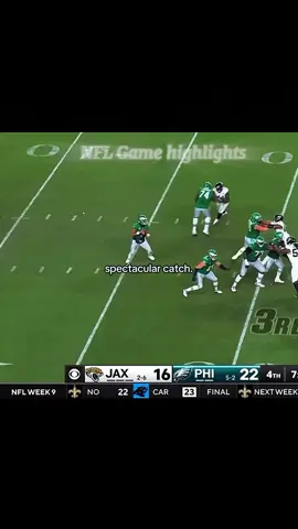 who had the best catch in NFL history #nflfootball #nfl #highlights #nflcatch#foryou 