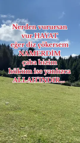 #keşfetöneçıkar #tiktok #fyp 