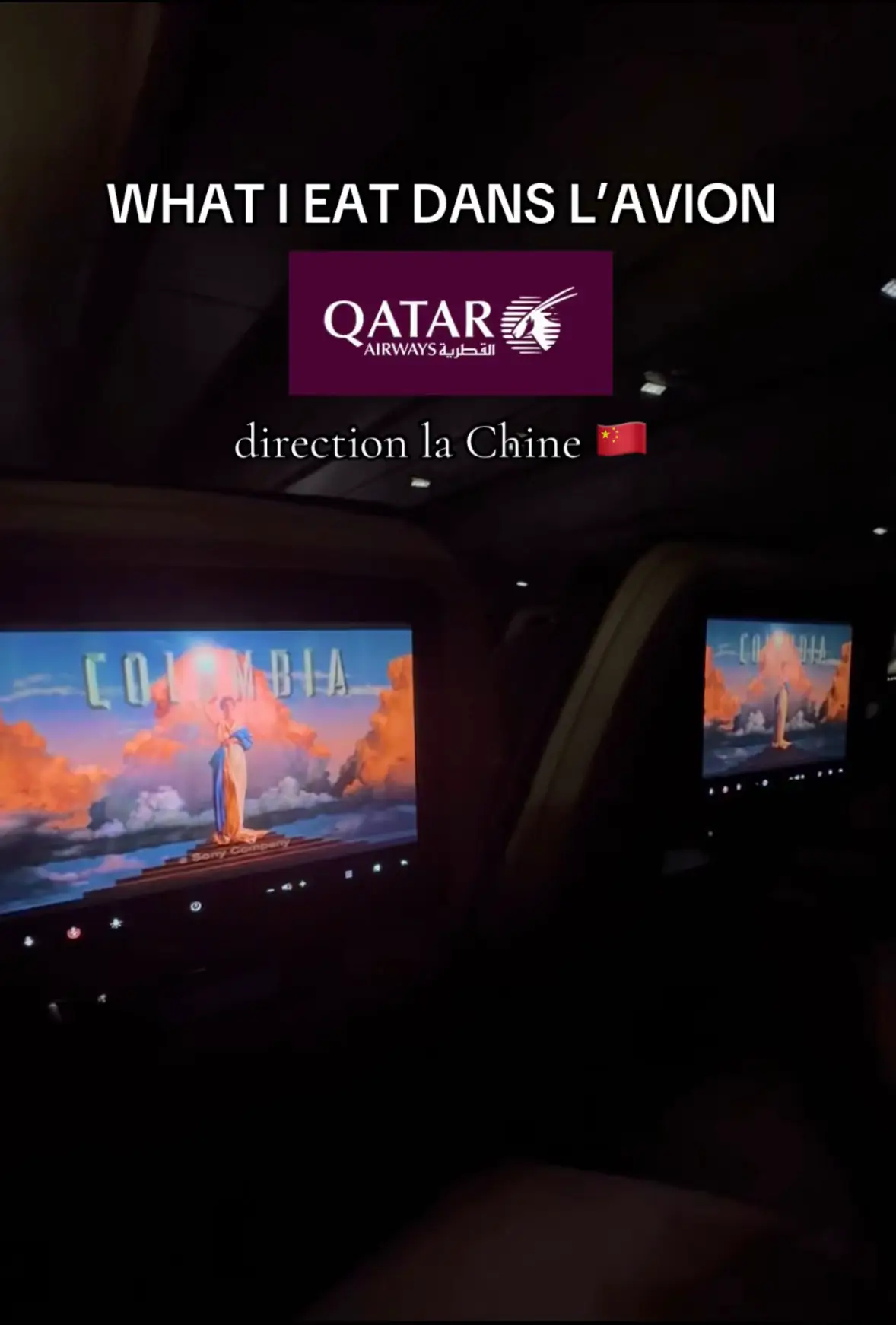 En vrai on a quand même bien mangé ! ⭐️⭐️⭐️ #qatarairways #whatieat #planefood #FoodTok #avion 