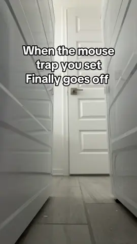 No animals were harmed in this video.  Video credit: @TyroneUnplugged 🔌  #fyp #lol #mousetrap #funny #comedy 