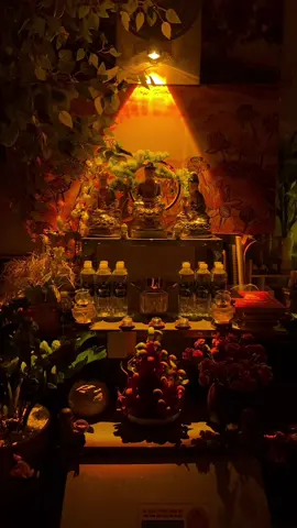 Không cần xa hoa, chỉ cần một góc nhỏ đủ sáng, đủ tĩnh lặng để mình lắng nghe chính mình. Mỗi khi đèn được thắp, chuông được khơi, mõ được gõ – là lúc tâm mình trở về chánh niệm. 💛 Góc tu tập này, chính là ước mơ giản dị mà mình đã ấp ủ bấy lâu.#phatphapnhiemmau #phatphap #loiphatday #lênxuhuong 