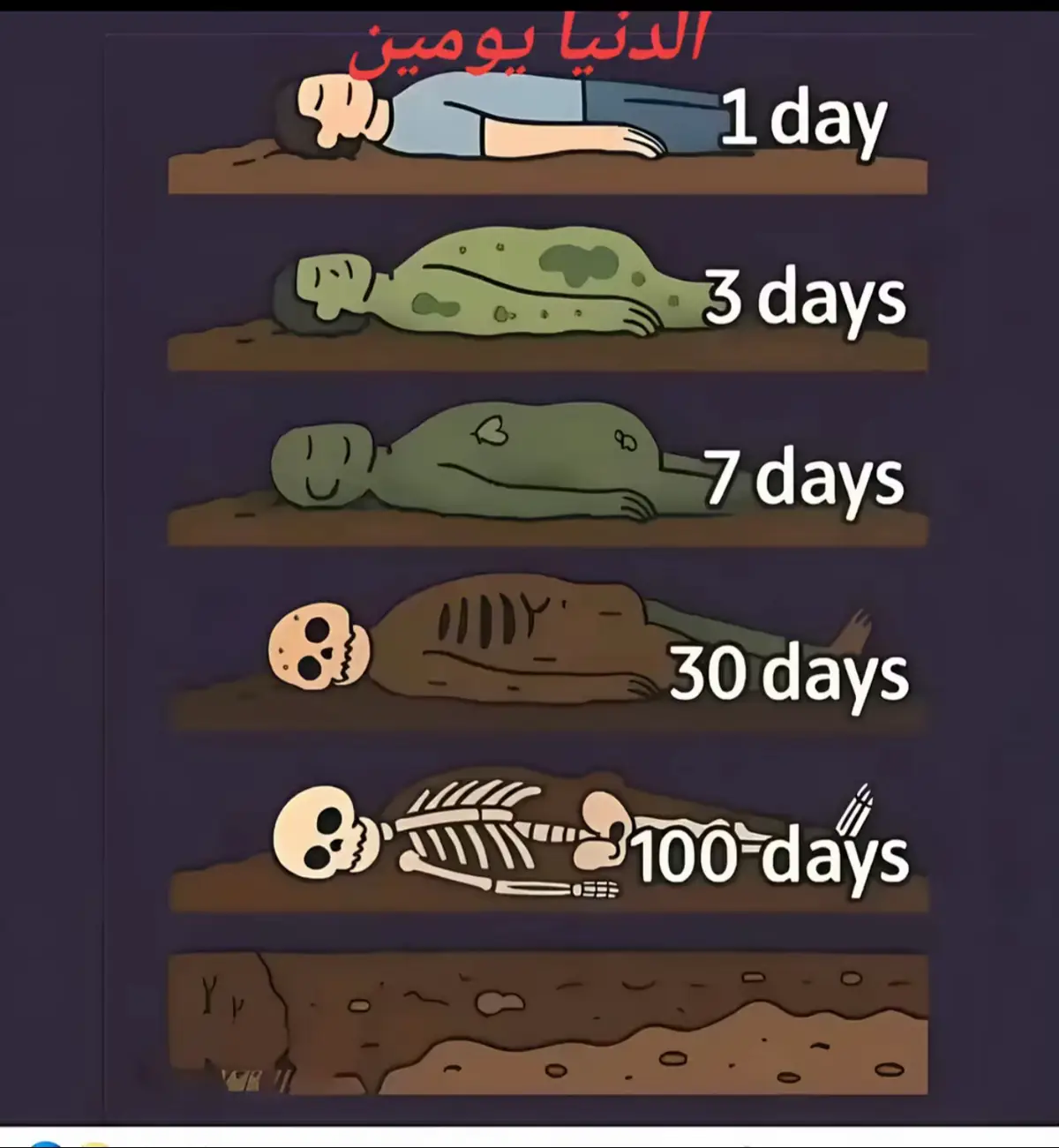 #fypシ゚viral🖤tiktok إنما الدنيا 🥲 Adoo Og Inad San Noqoon Dontid Hadana Maxad Waxa Walba Usamaysa?! 