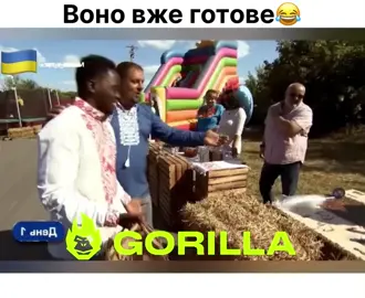 #100х100#стопосто#горила100 