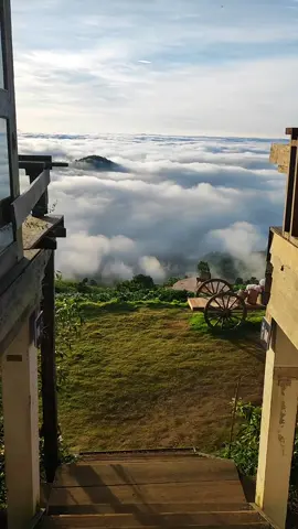 #เชียงรายเมืองน่าเที่ยว #สวนดอกไฮเดรนเยียดอยข้าง #คาเฟ่น่านั่ง #มิสเตอร์แบล็คดอยช้าง 