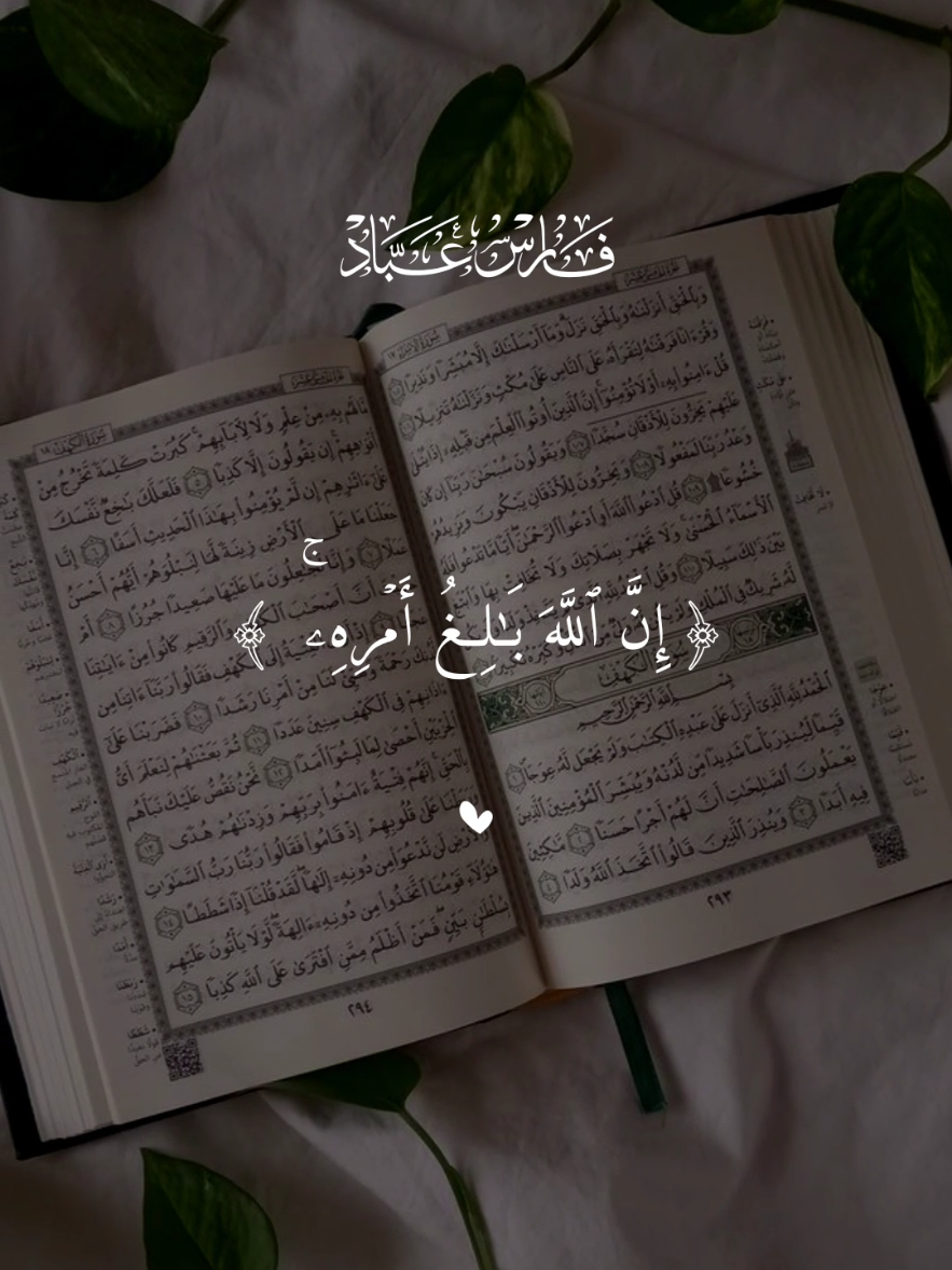 ومن يتق الله يجعل له مخرجا  قران كريم بصوت جميل  #قران #الشيخ_فارس_عباد #quran #قران_كريم_بصوت_جميل 