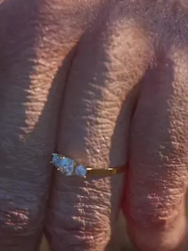Cincin Berlian yang Hilang 13 Tahun, Ditemukan di Dalam Wortel!  Sumber Video: ZackDFilms  #faktaunik #storytime #amazinghistory #naturemiracle #fyp 