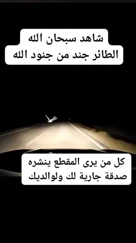 سبحان الله 