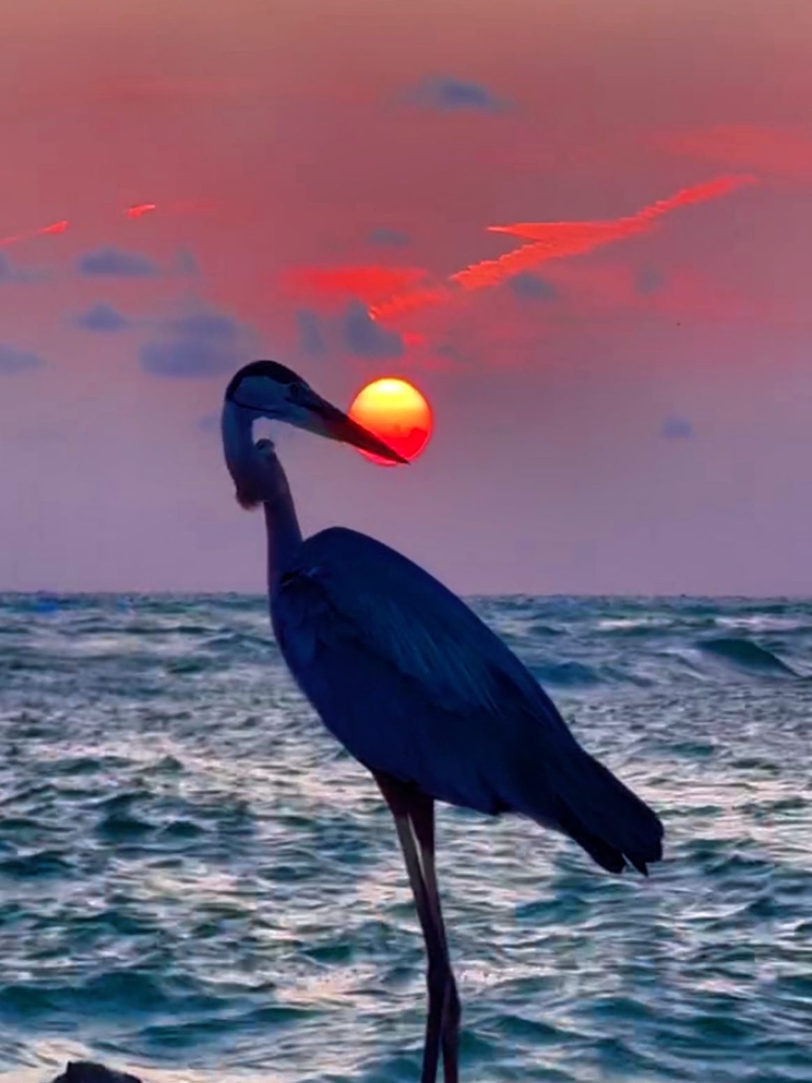 لو رمال البحر وامواجه حروف  #السعودية #fyp #foryou  #ti̇ktok #trending 