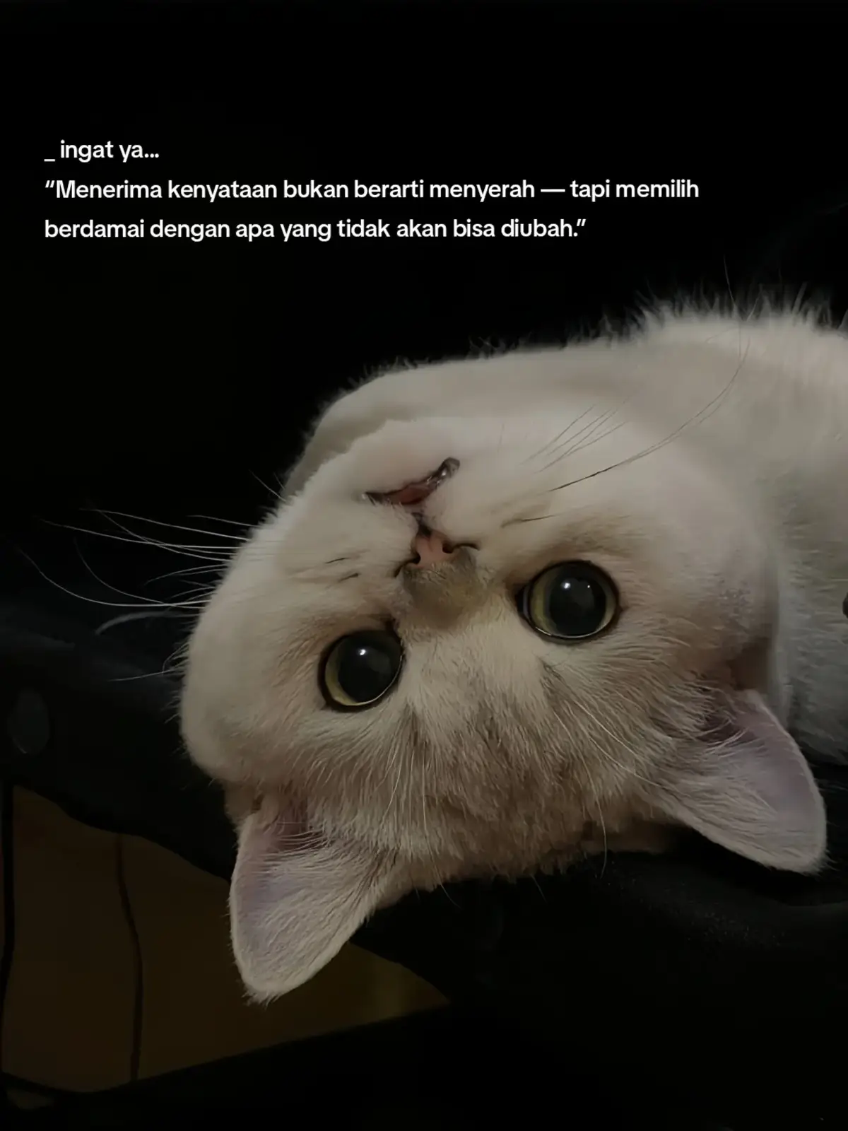 💭 1. Izinkan diri merasakan emosi Jangan langsung memaksa diri untuk 