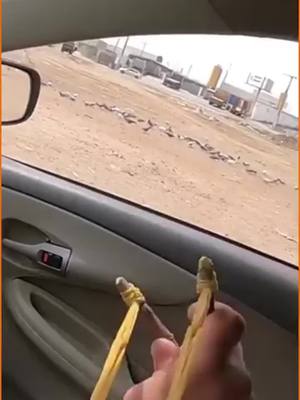 يعمل عن طريق الرياح أيضا