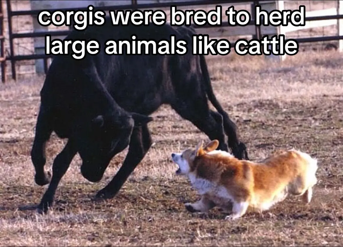 he’s a very strong independent boy 