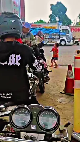 #fypシ゚viral #fyppppppppppppppppppppppp #bismillahlewatberandafyp #jember24jam #tigerherex 