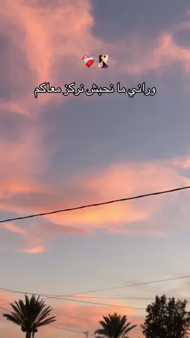 #teamferyell❤️🕊️ #جيش_فريال❤️🕊️ #feryelbenammar❤️🕊️ #بنقردان_الحدود_الليبية_التونسية🇱🇾🇹🇳 #بنقردانية📍🧿_والفخرة_ليا✌🏼🔥 #بنقردان_الحدود_الليبية 