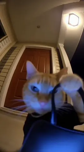 Ngủ sớm đi, hại cho điện thoại lắm #xuhuong #fyp #viral #cute #meme 