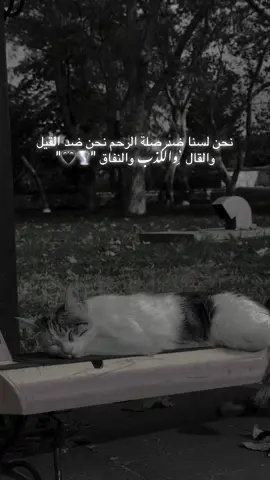 #اميرة_برج_السرطان #fypviralシ゚viral #اكسبلورexplore #fouryou 