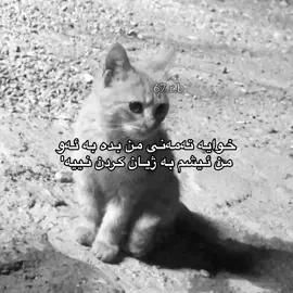 من ئیشم پێی نیە.#foryou#tiktok#fpy