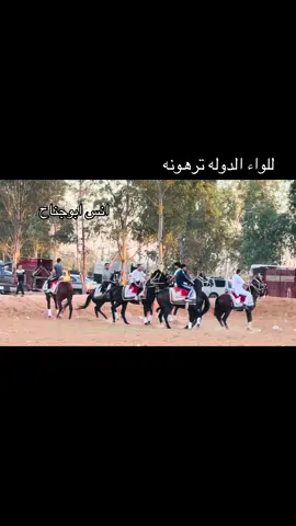 #مشالله🧿❤️ #حكك #فرسان_الخيل #خيل_وخياله🐎 #تفاعلكم 