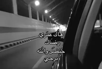 حنضل وانته برحي #fyp #foryoupage #foryou #قالب 