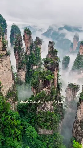 Qingfu telah hadir sejak dulu untuk mengatasi masalah kulit #qingfu #qingfuindonesia #qingfuobatgatal #qingfuofficial #qingfuherbal 