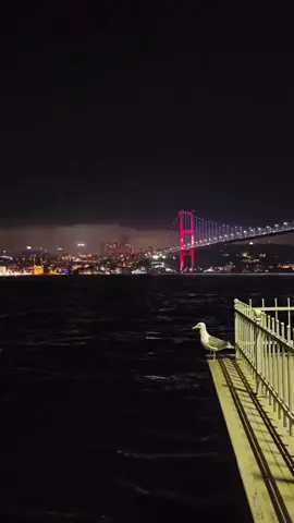 20:54 gördüğün saati yaz 🫶📍istanbul 🇹🇷
