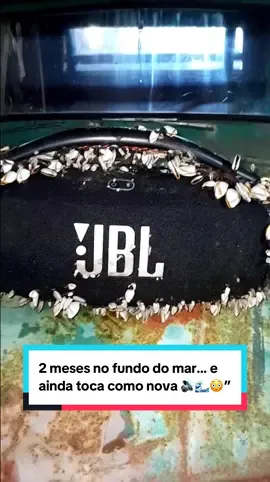 Essa caixa de som JBL ficou 2 meses no fundo do mar… e ainda toca como nova 🔊🌊😳 Diz ser de um contêiner  que caiu de um navio 🚢  #navio #mergulhador #mergulho #cargoship #jbl 