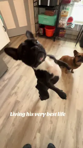 I don’t care trend 