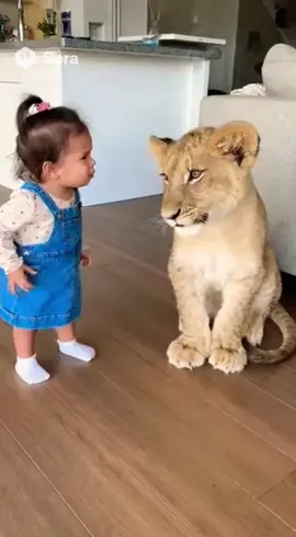 #babylion #funnybaby #baby #ai 