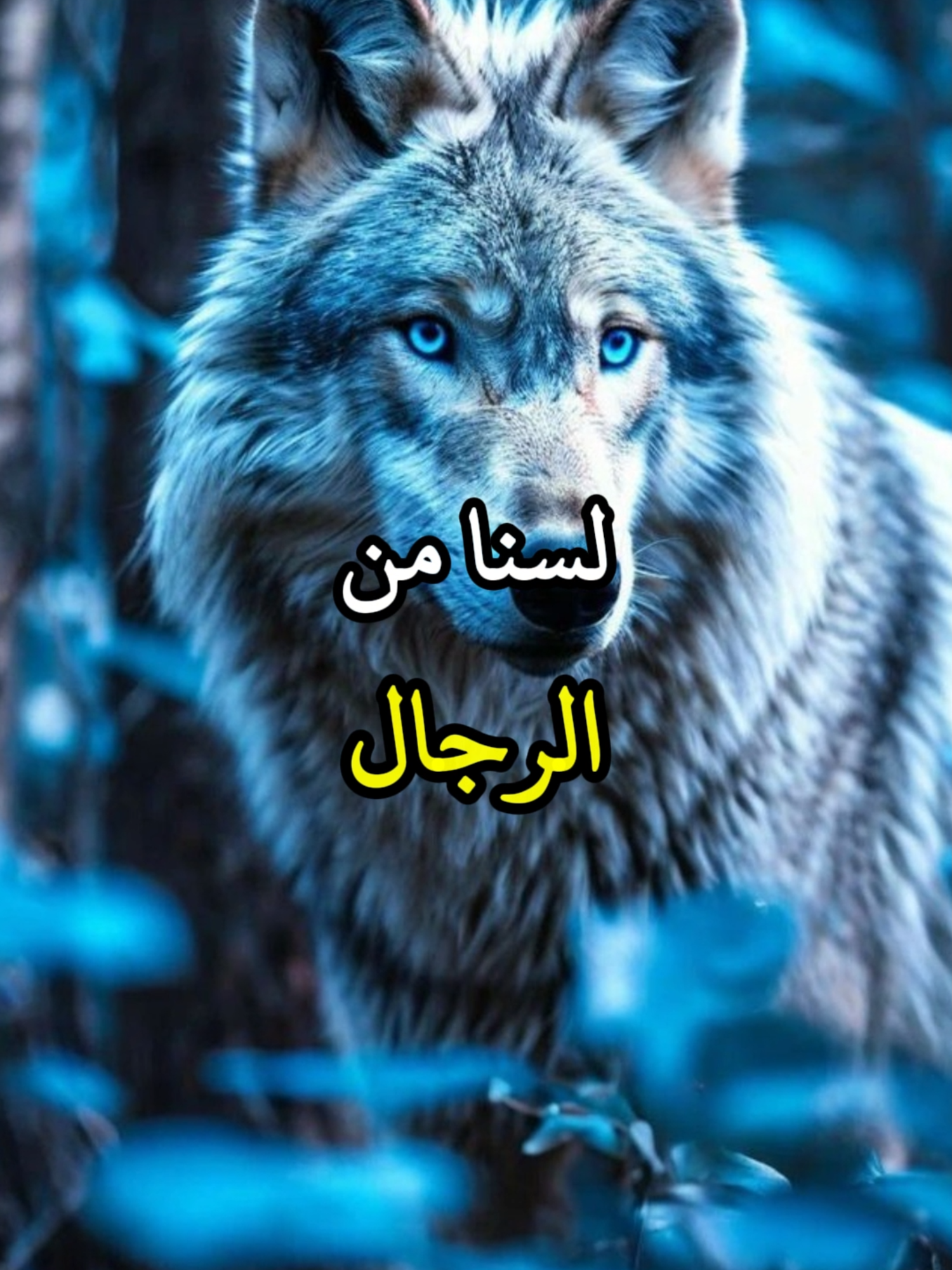 لسنا من الرجال الذين تحبهم النساء يا بني#تحفيزات_إيجابية #اطمئن #حكمة #خواطر #اكسبلور #اقتباسات #علم_النفس #نجاح #تطوير_الذات_علم_النفس #كلام_من_ذهب #اقتباسات_عبارات_خواطر #explore #viral_video #psychology #fyp #motivation