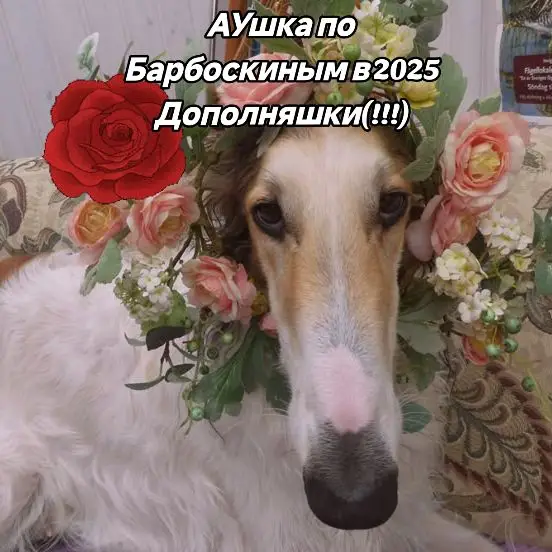 К сожалению, не всё сошлось в первом браке так, как она хотела. Во второй раз пришлось прыгнуть в последний вагон до статуса «старой девы» 🥲 #рекомендации #foryou #Барбоскины #typ #oc 