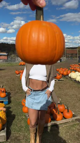 Pumpkin head❤️ @mirko_mormile