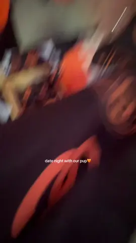 @Felipe El Golden Doodle had a blast at @Orange County SC Pups At The Pitch game! 🐶 thank you for having us! #orangecounty #datenight #goldendoodle 