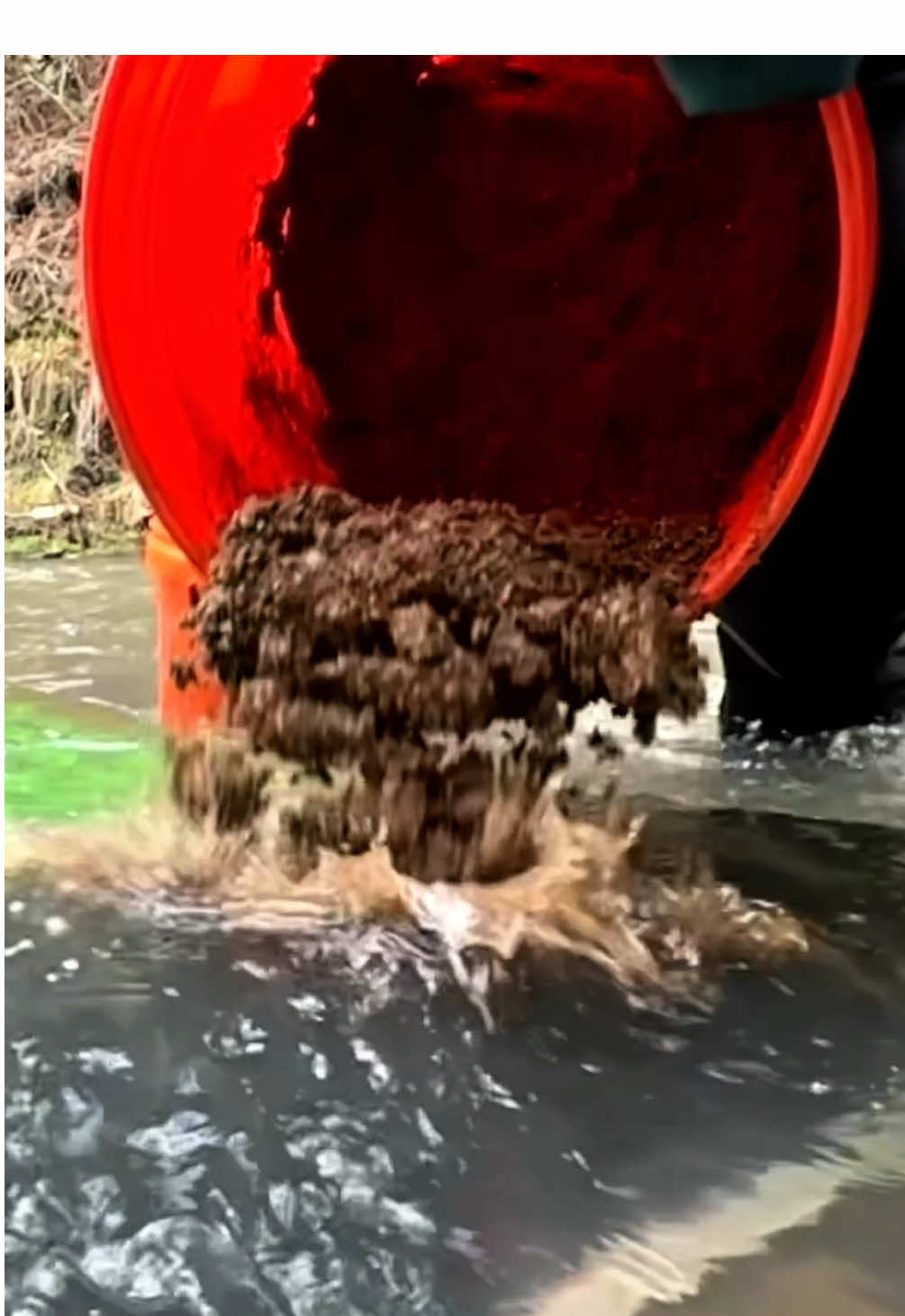 Will GOLD move on the mats? #sluice #mining 