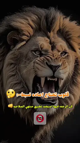 #دارحامد_عزي_وفخري💪❤ 