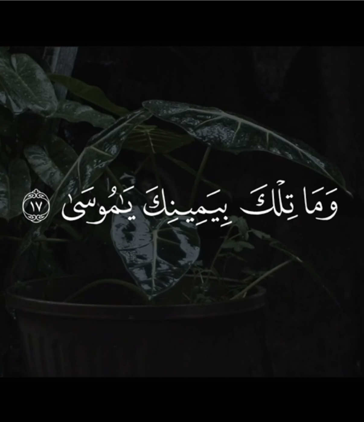 وما تلك بيمينك يا موسى || حساب وقناة القران بالبايو #قران #quran 