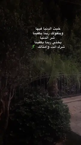 الخَسارٌه اليَ تجيٌبلكَ رَاحَّة البَال سَميهِا مَكٌسَب . #مميزة🍃 #ام_المجد #يارب_توفيقك🤲💞 #باقة_الحطب 