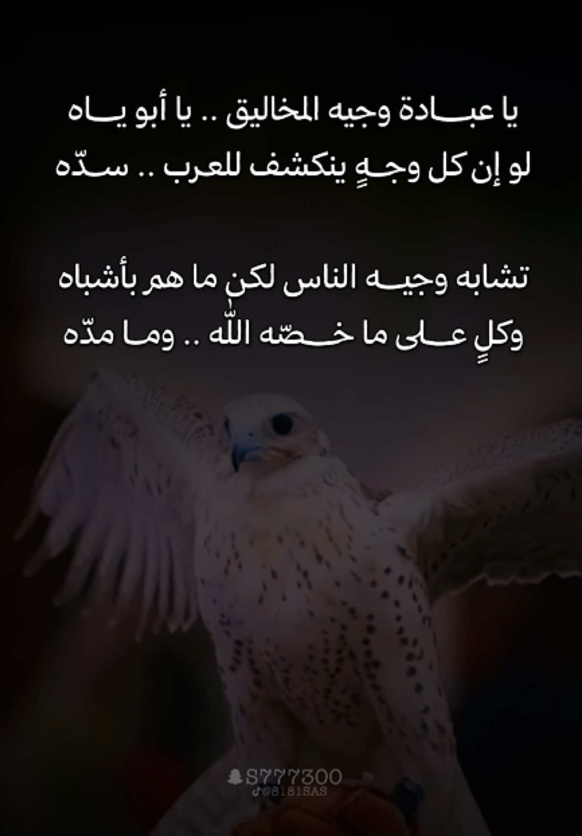 #السعودية #شعر #ابيات_وكلام #اكسبلور #fyp 