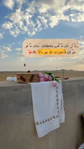 في كل محاولة، فهمٌ لِذاتك... ♡
